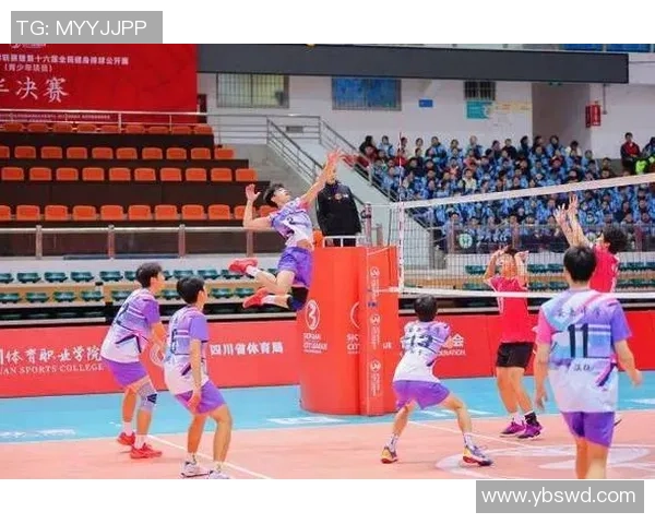 成都排球队成长之路：从默默无闻到璀璨辉煌的排球纪实故事